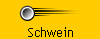 Schwein