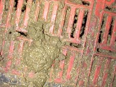 Breiiger Durchfall mit unverdauten Futterbestandteilen.