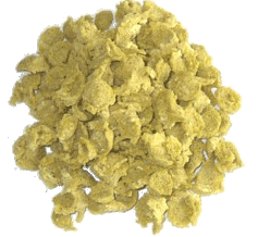 Abbildung 10: opticorn®