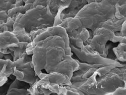 Figure 6: opticon® treated barley